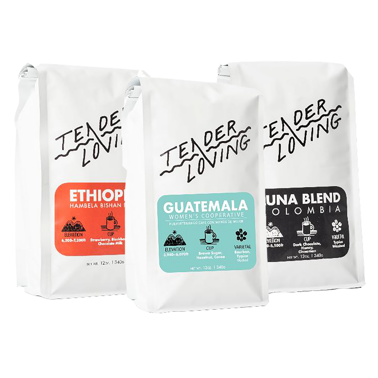 Subscription - LIGHTER ROASTED Monthly Coffee Subscription