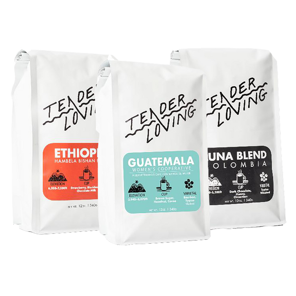 Subscription - LIGHTER ROASTED Monthly Coffee Subscription