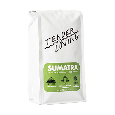 Tender loving coffee roasters sumatra ketiara adsenia triple picked